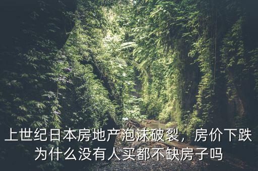 上世紀(jì)日本房地產(chǎn)泡沫破裂，房?jī)r(jià)下跌為什么沒有人買都不缺房子嗎