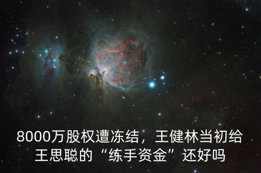 8000萬股權(quán)遭凍結(jié)，王健林當初給王思聰?shù)摹熬毷仲Y金”還好嗎