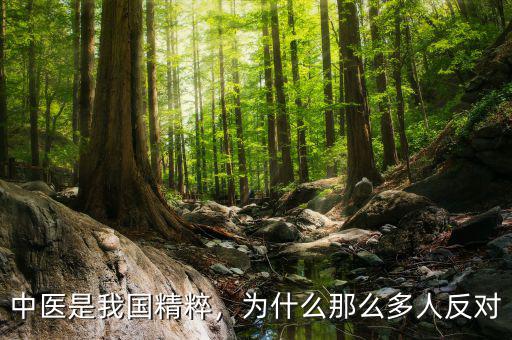 中醫(yī)是我國(guó)精粹，為什么那么多人反對(duì)