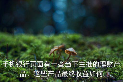 手機(jī)銀行頁面有一些當(dāng)下主推的理財(cái)產(chǎn)品，這些產(chǎn)品最終收益如何