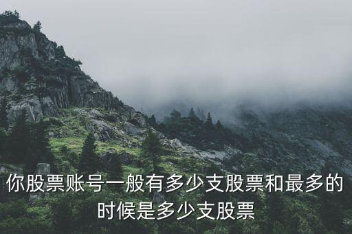 多少支股票,分配買(mǎi)多少只股票