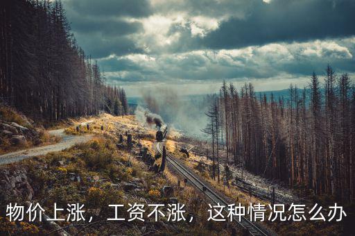 物價上漲，工資不漲，這種情況怎么辦