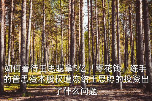 如何看待王思聰拿5億「零花錢」練手的普思資本股權遭凍結(jié)王思聰?shù)耐顿Y出了什么問題