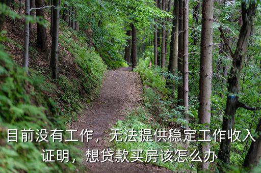 目前沒有工作，無法提供穩(wěn)定工作收入證明，想貸款買房該怎么辦