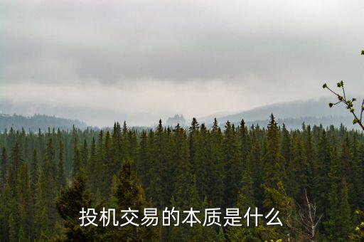 什么叫貨幣投機(jī),購買加密貨幣是投資還是投機(jī)