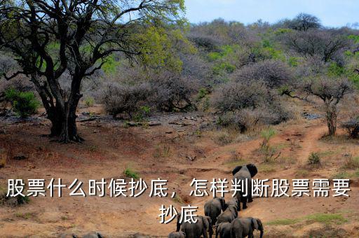 股票什么時(shí)候抄底，怎樣判斷股票需要抄底