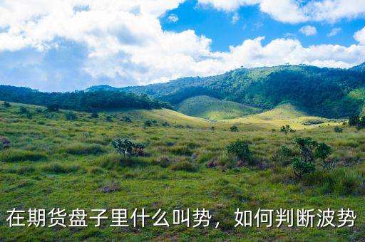 什么是期貨沽空,期貨平倉期貨是誰的