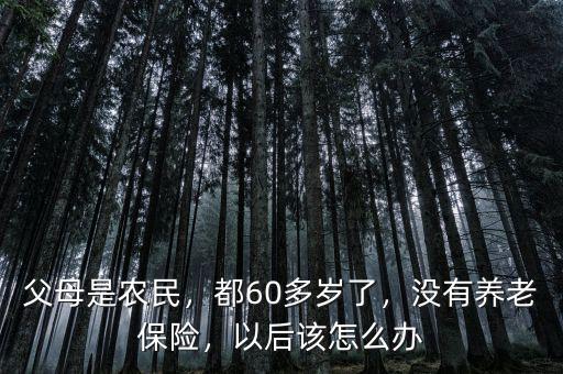 父母是農(nóng)民，都60多歲了，沒有養(yǎng)老保險(xiǎn)，以后該怎么辦