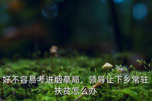 好不容易考進(jìn)煙草局，領(lǐng)導(dǎo)讓下鄉(xiāng)常駐扶貧怎么辦