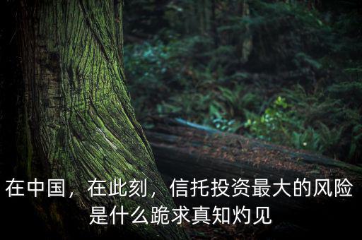 在中國(guó)，在此刻，信托投資最大的風(fēng)險(xiǎn)是什么跪求真知灼見