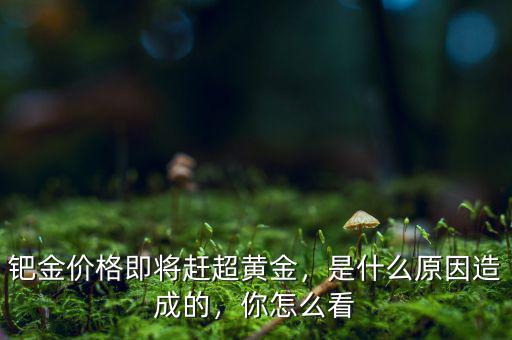 鈀金價(jià)格即將趕超黃金，是什么原因造成的，你怎么看