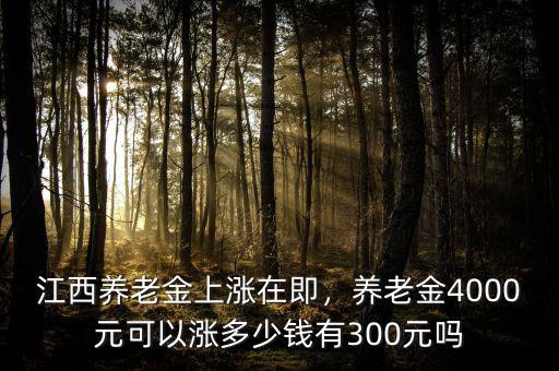 江西養(yǎng)老金上漲在即，養(yǎng)老金4000元可以漲多少錢有300元嗎