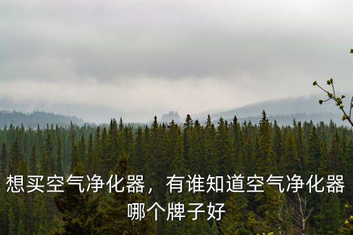 中國(guó)每年銷(xiāo)售多少空氣凈化器,空氣凈化器的市場(chǎng)怎么樣
