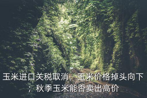 玉米進(jìn)口關(guān)稅取消，玉米價格掉頭向下；秋季玉米能否賣出高價