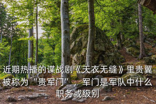 近期熱播的諜戰(zhàn)劇《天衣無縫》里貴翼被稱為“貴軍門”，軍門是軍隊中什么職務(wù)或級別
