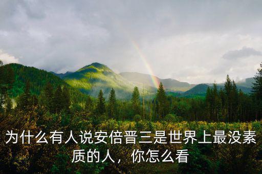 為什么有人說安倍晉三是世界上最沒素質(zhì)的人，你怎么看