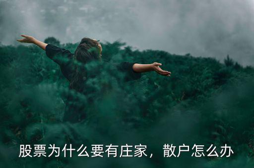 股票為什么要有莊家，散戶怎么辦