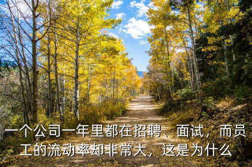 一個公司一年里都在招聘、面試，而員工的流動率卻非常大，這是為什么