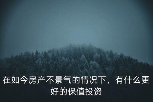 在如今房產(chǎn)不景氣的情況下，有什么更好的保值投資
