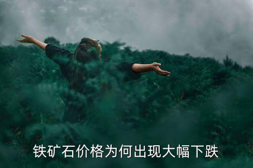 怎么知道鐵礦石港口價格,為什么鐵礦石價格暴跌