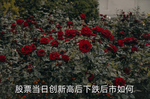 一只股票創(chuàng)新高后市怎么走,對于一只創(chuàng)新高的股票