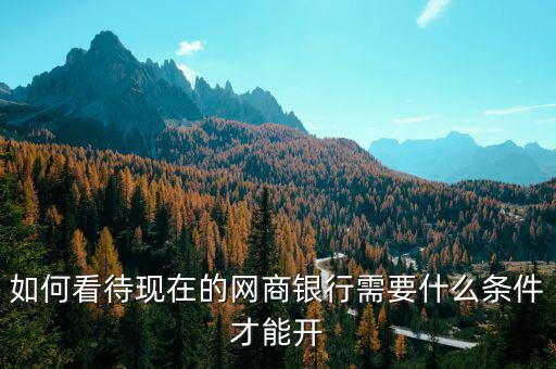 馬云的網商銀行怎么玩,如何看待現在的網商銀行