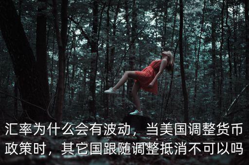 匯率為什么會(huì)有波動(dòng)，當(dāng)美國調(diào)整貨幣政策時(shí)，其它國跟隨調(diào)整抵消不可以嗎