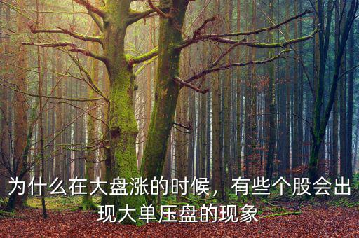 為什么在大盤漲的時候，有些個股會出現(xiàn)大單壓盤的現(xiàn)象