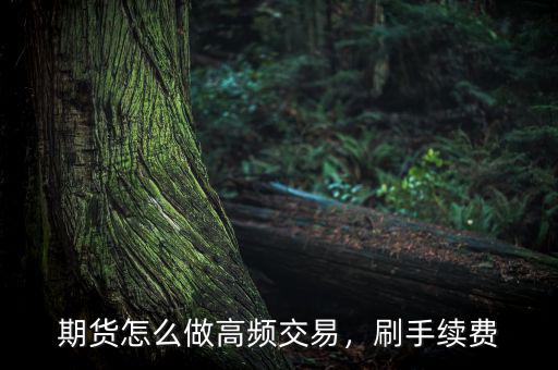 期貨怎么做高頻交易，刷手續(xù)費(fèi)
