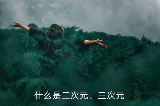 什么是二次元、三次元