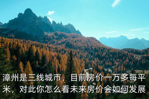 漳州是三線城市，目前房?jī)r(jià)一萬(wàn)多每平米，對(duì)此你怎么看未來(lái)房?jī)r(jià)會(huì)如何發(fā)展