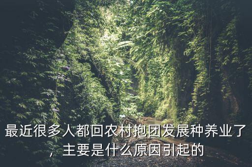 最近很多人都回農(nóng)村抱團發(fā)展種養(yǎng)業(yè)了，主要是什么原因引起的