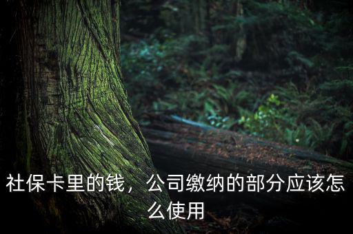 公司交的社保怎么用,社?？ɡ锏腻X(qián)