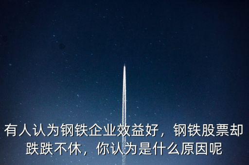 有人認為鋼鐵企業(yè)效益好，鋼鐵股票卻跌跌不休，你認為是什么原因呢