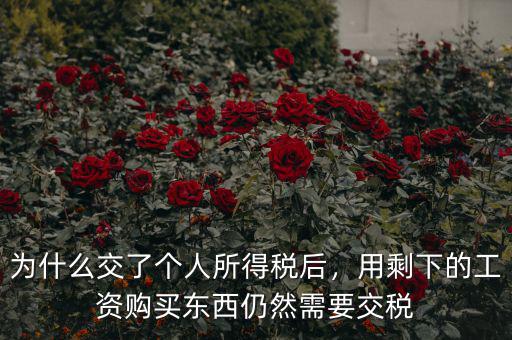 為什么交了個(gè)人所得稅后，用剩下的工資購(gòu)買東西仍然需要交稅