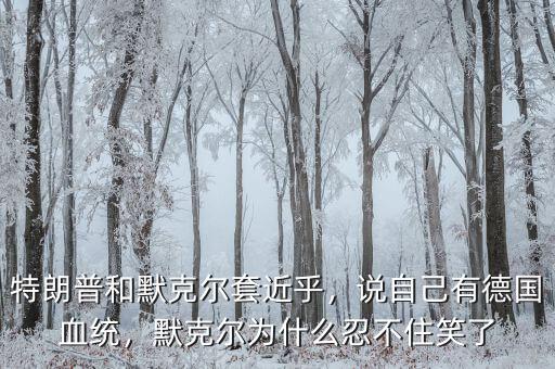 特朗普和默克爾套近乎，說自己有德國血統(tǒng)，默克爾為什么忍不住笑了