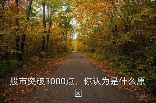 股市突破3000點(diǎn)，你認(rèn)為是什么原因