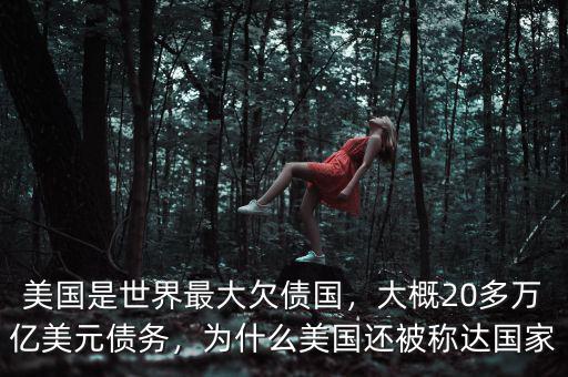 美國(guó)債務(wù)怎么還,為什么美國(guó)還被稱達(dá)國(guó)家
