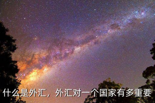 什么是外匯，外匯對一個國家有多重要
