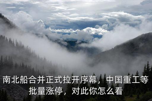 南北船合并正式拉開(kāi)序幕，中國(guó)重工等批量漲停，對(duì)此你怎么看