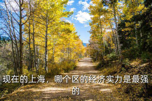 現(xiàn)在的上海，哪個(gè)區(qū)的經(jīng)濟(jì)實(shí)力是最強(qiáng)的