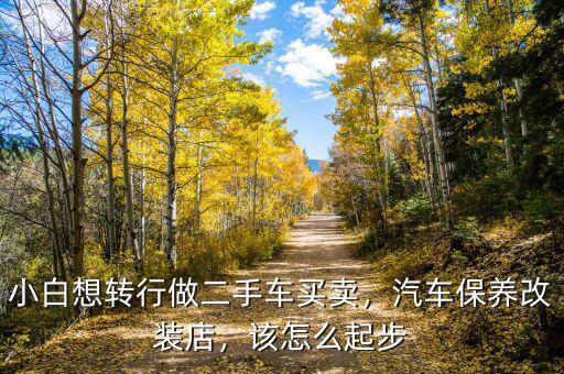 小白想轉(zhuǎn)行做二手車買賣，汽車保養(yǎng)改裝店，該怎么起步
