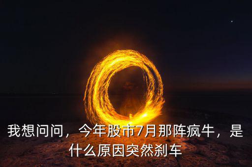 我想問問，今年股市7月那陣瘋牛，是什么原因突然剎車