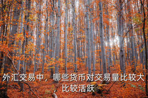 外匯交易中，哪些貨幣對(duì)交易量比較大，比較活躍