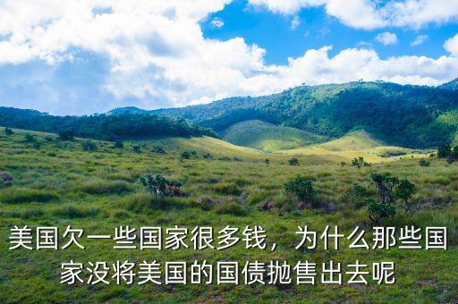 美國(guó)欠一些國(guó)家很多錢，為什么那些國(guó)家沒(méi)將美國(guó)的國(guó)債拋售出去呢