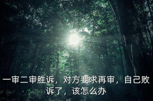 一審二審勝訴，對方要求再審，自己敗訴了，該怎么辦