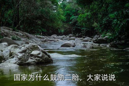 國家為什么鼓勵二胎，大家說說