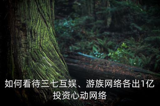 如何看待三七互娛、游族網(wǎng)絡(luò)各出1億投資心動(dòng)網(wǎng)絡(luò)