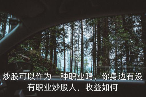炒股可以作為一種職業(yè)嗎，你身邊有沒有職業(yè)炒股人，收益如何