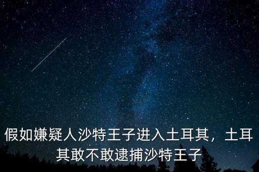 假如嫌疑人沙特王子進入土耳其，土耳其敢不敢逮捕沙特王子
